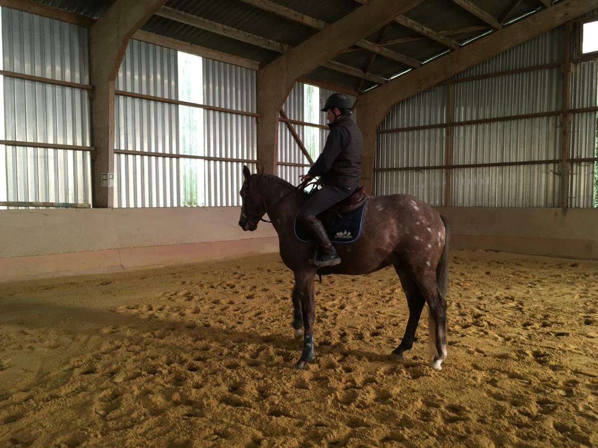 Ferme Gite Equestre En Charente Confolens Kültér fotó